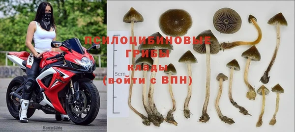 кокаин премиум Алексеевка