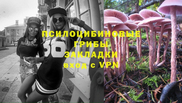 spice Абинск